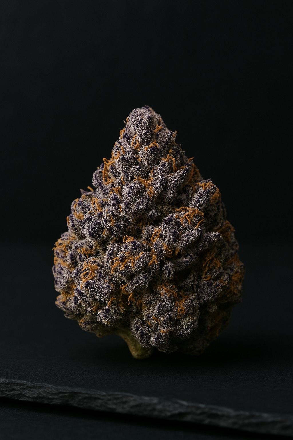 Ocean Drive OG
